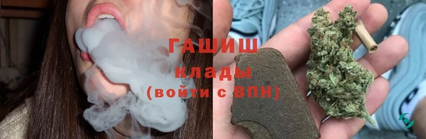 стаф Алзамай
