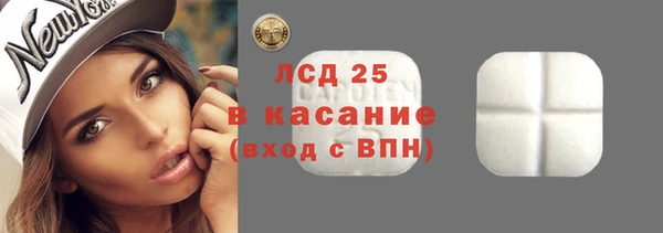 стаф Алзамай