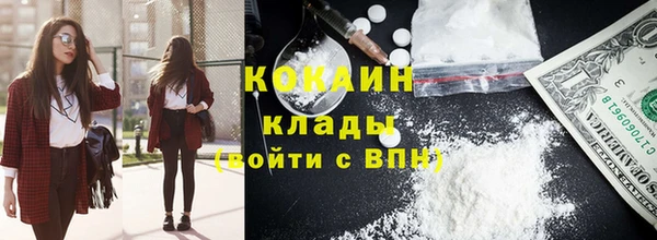 прущие грибы Ростов