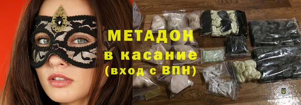 стаф Алзамай