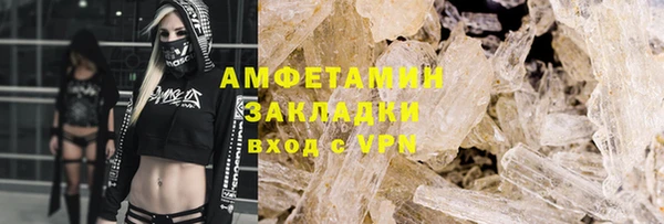 стаф Алзамай