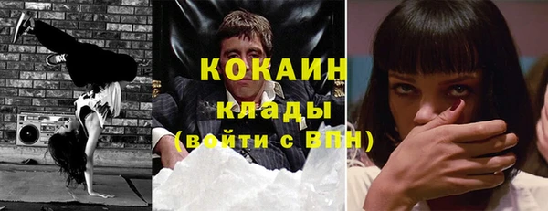 стаф Алзамай