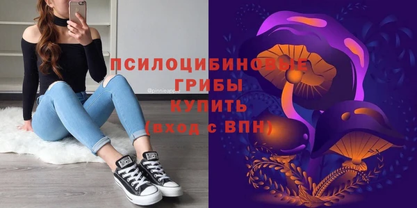 не бодяженный Алексин